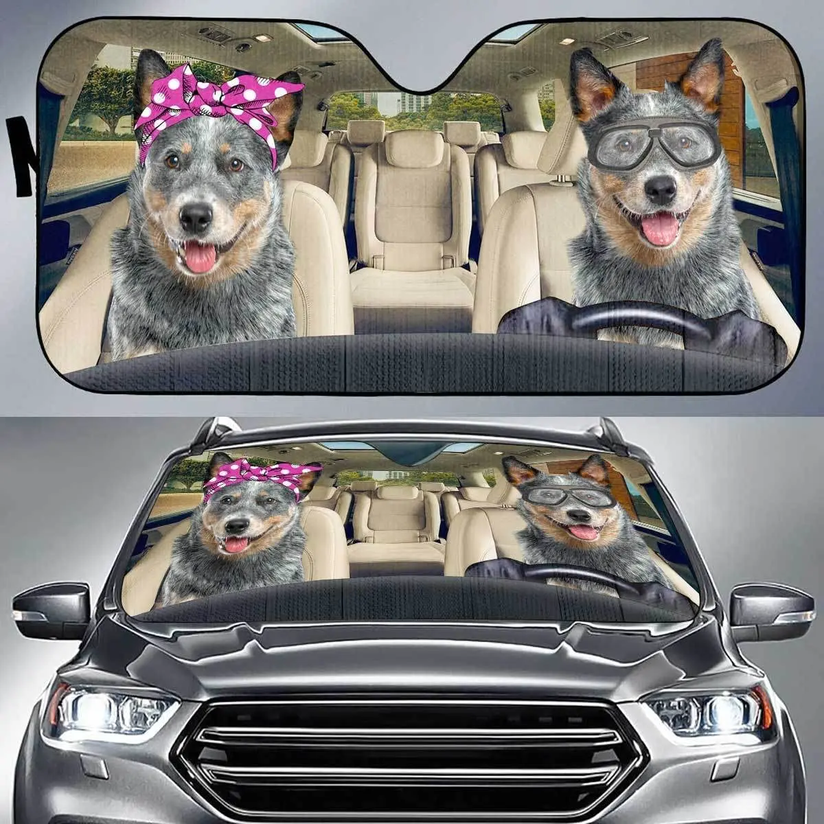 Забавная Пара Голубых Хилерских Собак, Управляющая Левосторонним Автомобильным Солнцезащитным Козырьком, Милые Голубые Хилерские Собаки В Розовой Повязке На Голове и Очках Auto Sun S