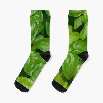 Деталь из зеленых листьев итальянского базилика Носки Женские компрессионные носки носки для женщин Носки женские Забавные носки